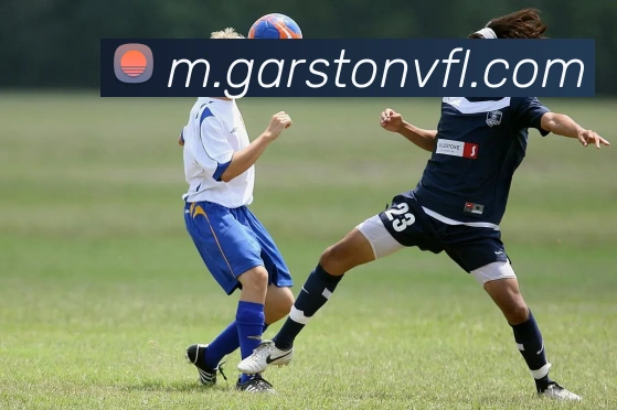 leyu乐鱼在线官网APP 封面图